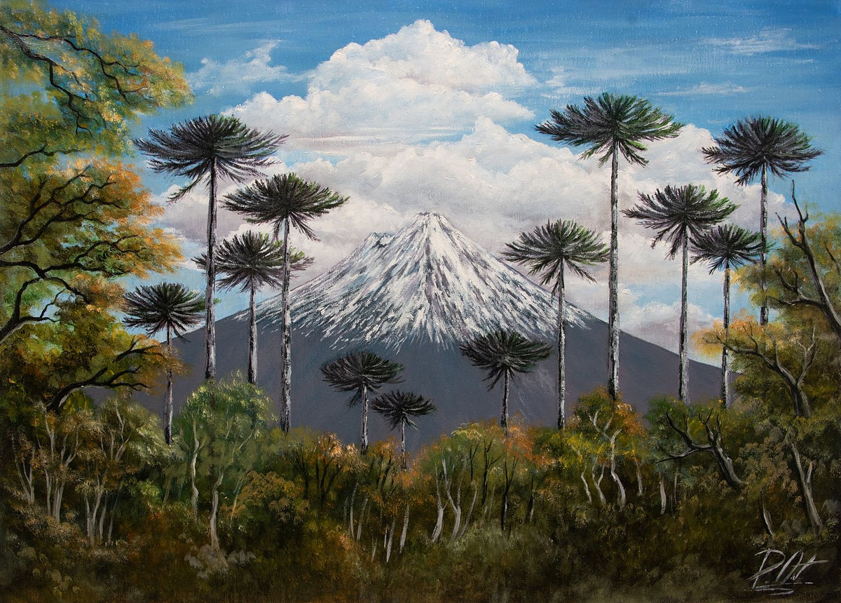 Llaima Volcano